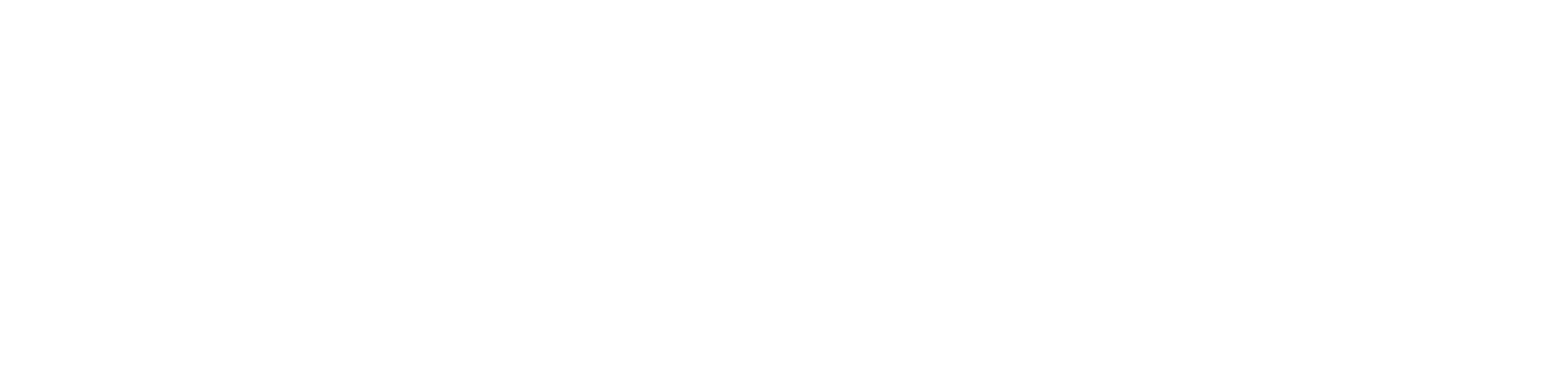 360Fin_Logo_1c_White